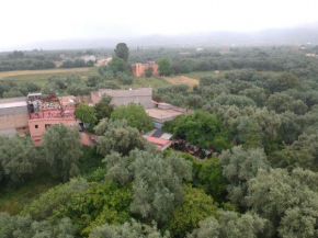  Maison d'hotes Ait Bou Izryane  Timoulilt